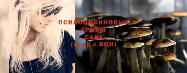 круглые Алзамай