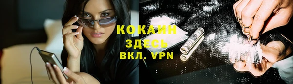 индика Алексин