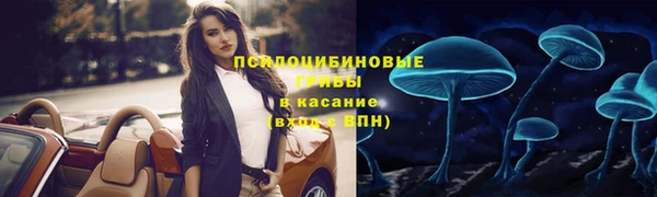 ПСИЛОЦИБИНОВЫЕ ГРИБЫ Алексеевка