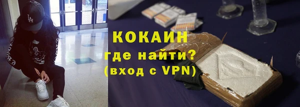 индика Алексин
