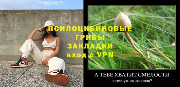 индика Алексин