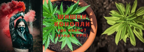 круглые Алзамай